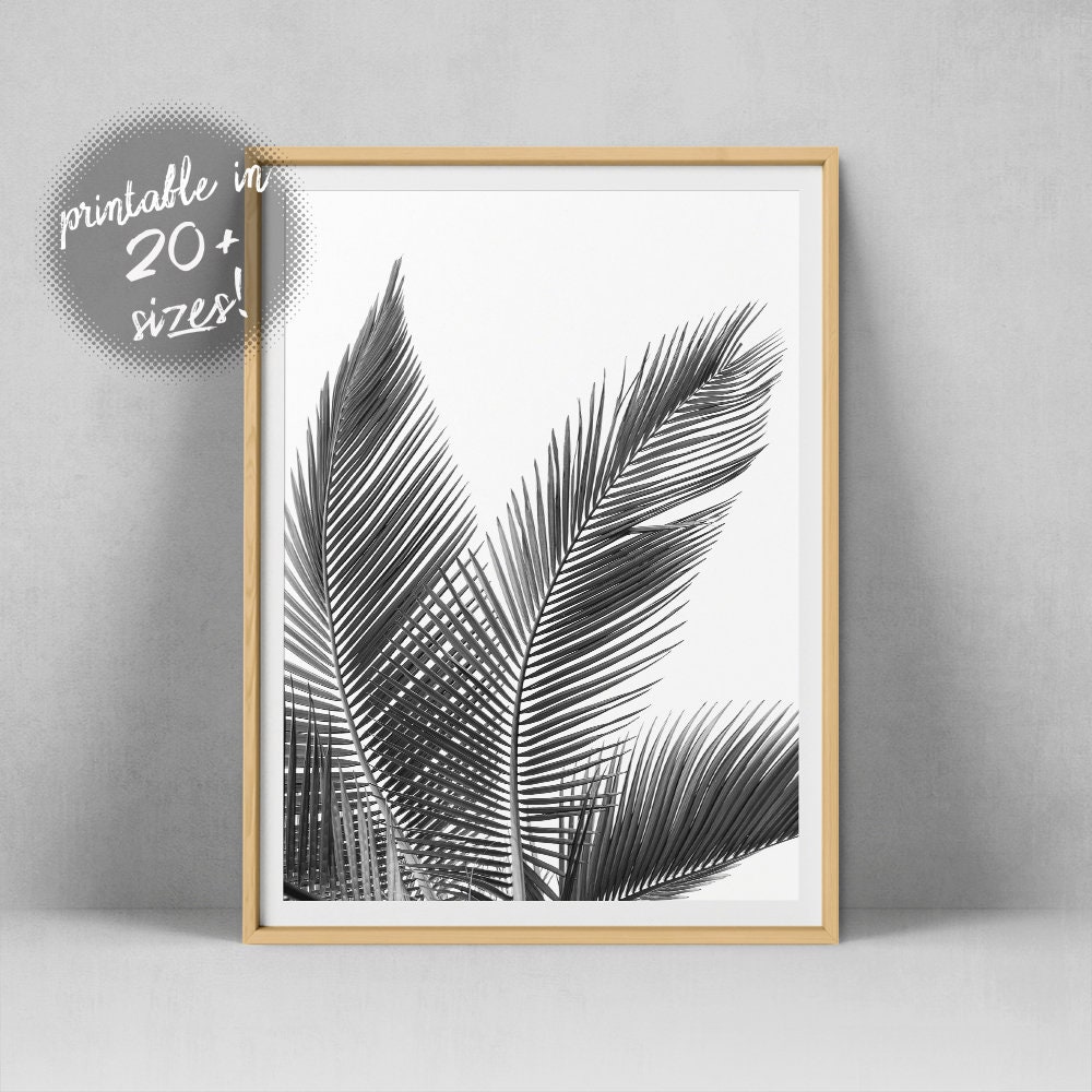 Palm Leaf Wall Art Palm Leaves Print Black And White Palm Etsy