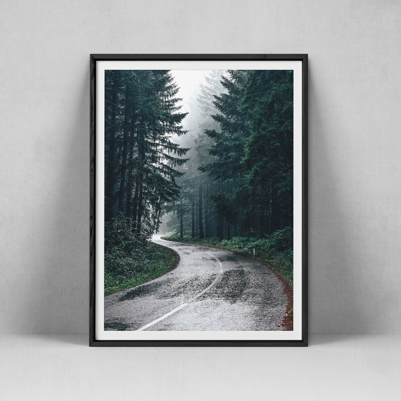 Forest Print Nature Photography Trees Wall Art Road Photo Etsy