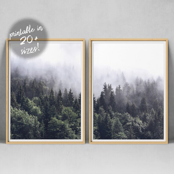 Wall Art Forest Print Printable Forest Art Nature Photography Prints Nature Prints Scenery Prints Forest Wall Art Prints