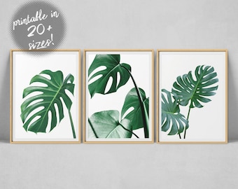 Monstera Leaf Print | Etsy