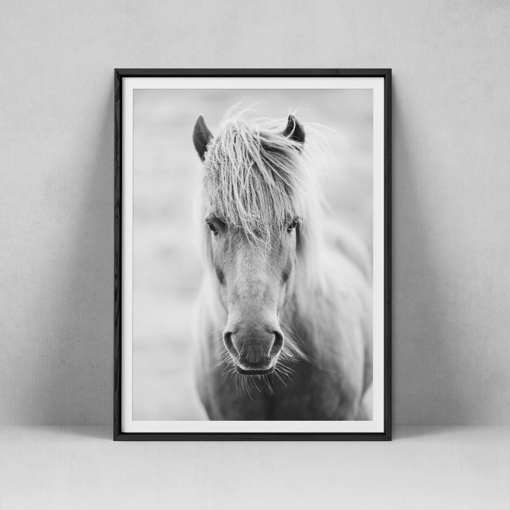 Horse Print Horse Wall Art Horse Head Photography Equine Etsy