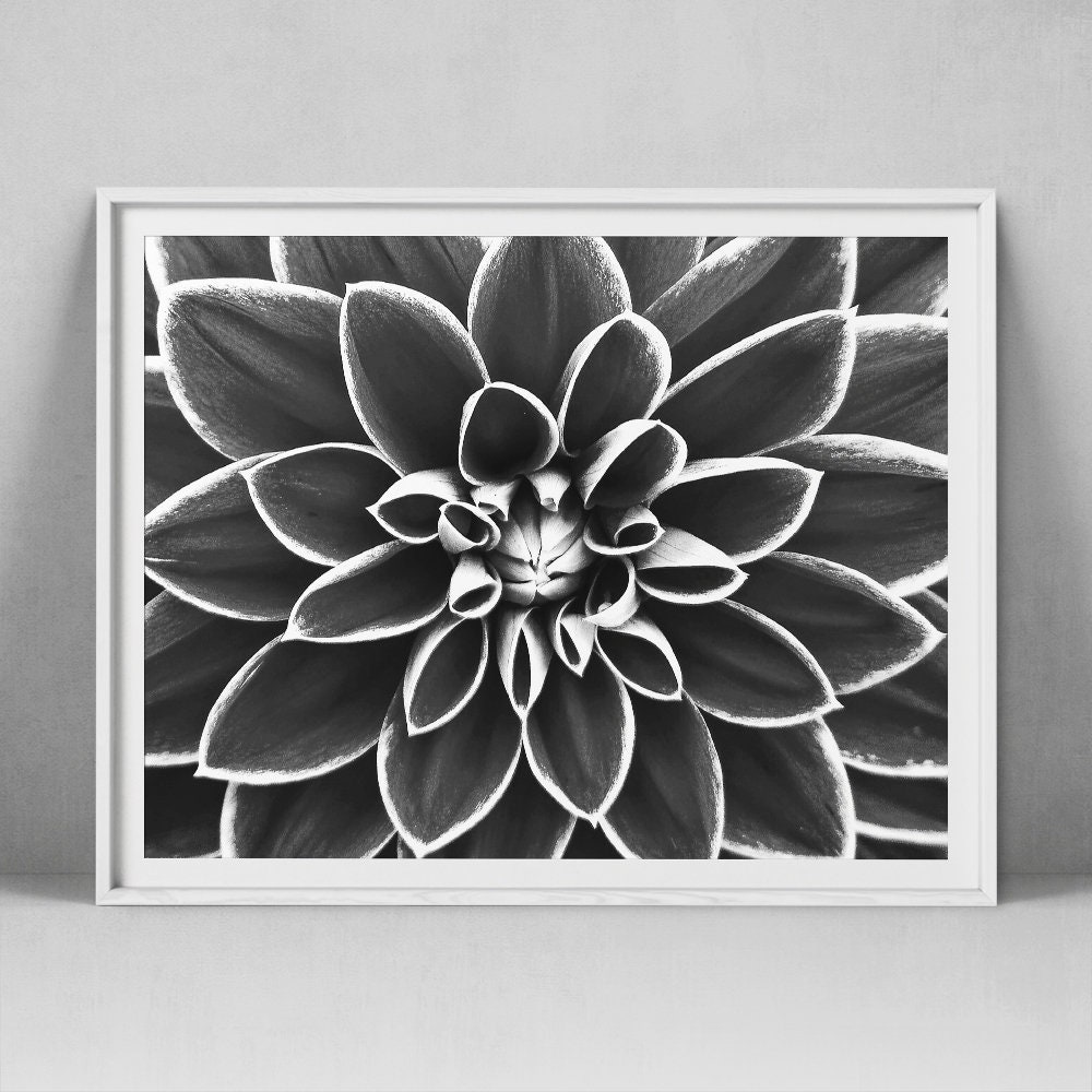 Dahlia Print Floral Wall Art Flower Photography Minimalist Etsy