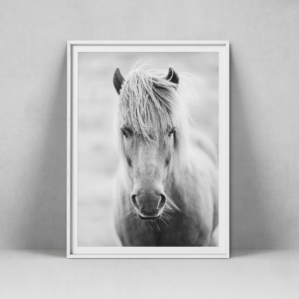 Horse Print Horse Wall Art Horse Head Photography Equine Etsy
