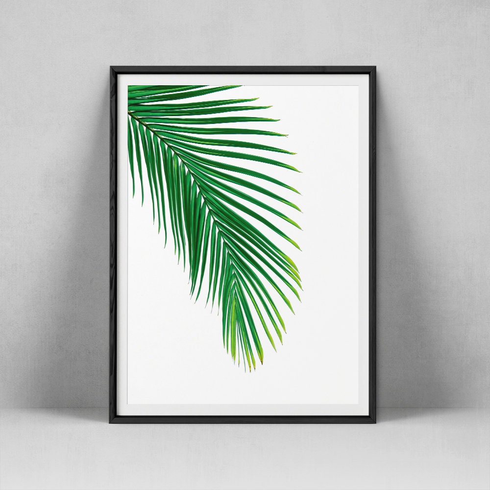 Palm Leaf Print Tropical Leaf Wall Art Minimalist Palm Etsy