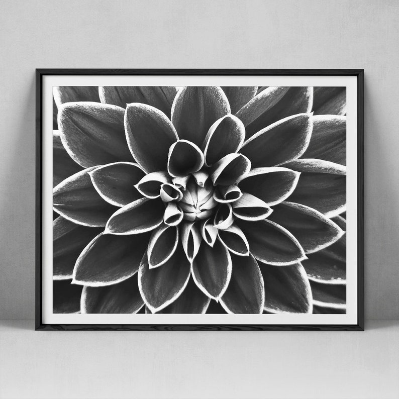 Dahlia Print Floral Wall Art Flower Photography Minimalist Etsy