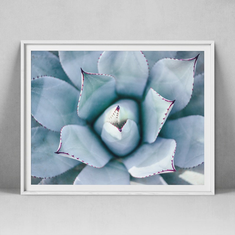 Succulent Print Botanical Poster Printable Wall Art Cactus Etsy