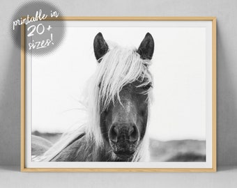 Black and White Poster Horse Portrait Print Horse Printable Art Horse Wall Art Digital Printable Farmhouse Wall Decor