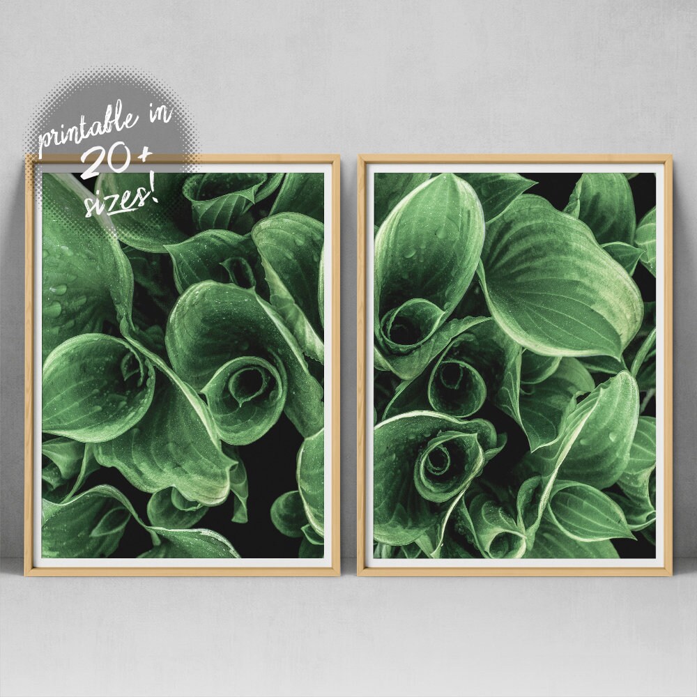 Set Of 2 Leaf Print Leaves Printable Botanical Wall Art