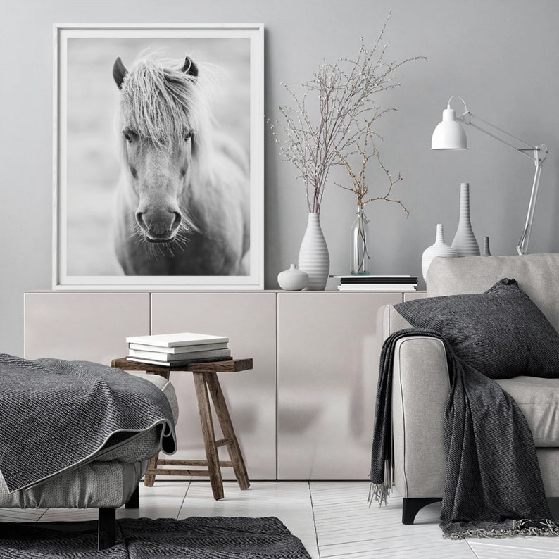 Horse Print Horse Wall Art Horse Head Photography Equine Etsy