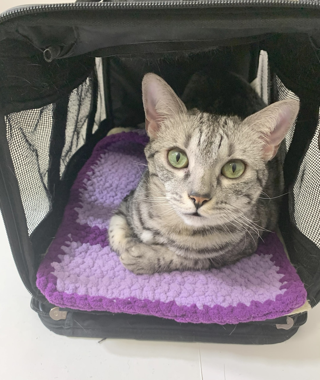 Curated visual reference: Gallery Detail: Crochet Pet Crate Liner Cat Carrier Cushion Small Dog Crate