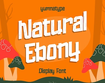 Natural Ebony Display Font - DIY Design for Canva, Cricut & Procreate