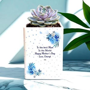 Könnte beinhalten: Ein weißer, rechteckiger Pflanztopf mit einer Sukkulentenpflanze. Der Pflanztopf hat blaue Blumendesigns und den Text "To the best Mum in the World Happy Mother's Day Love, Cheryl". Die Sukkulente hat eine hellgrüne und violette Farbe.