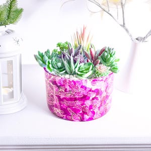 Può includere: Un'aiuola rotonda e vibrante per piante succulente con un esterno rosa e dorato. La fioriera è riempita con una varietà di piante succulente verdi, viola e rosa. La composizione è su una superficie bianca.