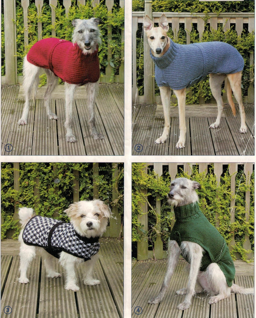 PDF Instant Download Knitting Pattern greyhound, Whippet and Small Dog