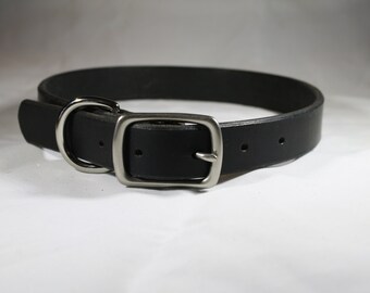 Dog Collar
