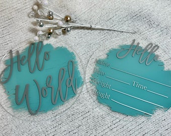 Acrylic Baby Milestone Discs: Hand-Painted Photo Prop, 12 Month Set
