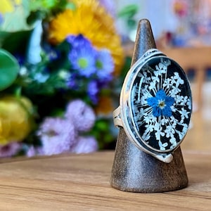 Antique, pressed flower ring, Queen Anne's lace and forget-me-not, adjustable silver-plated ring