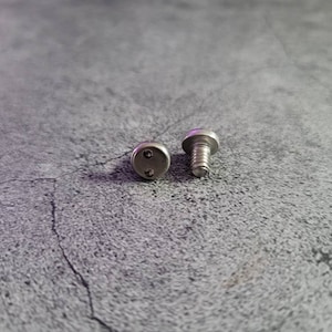 May include: Two silver screws with a flat head and a Phillips head. The screws are on a gray textured surface.