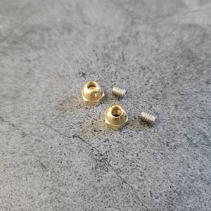 May include: Two gold-colored metal nuts and two silver screws. The nuts have a hexagonal shape and a rounded top. The screws are small and have a flat head.