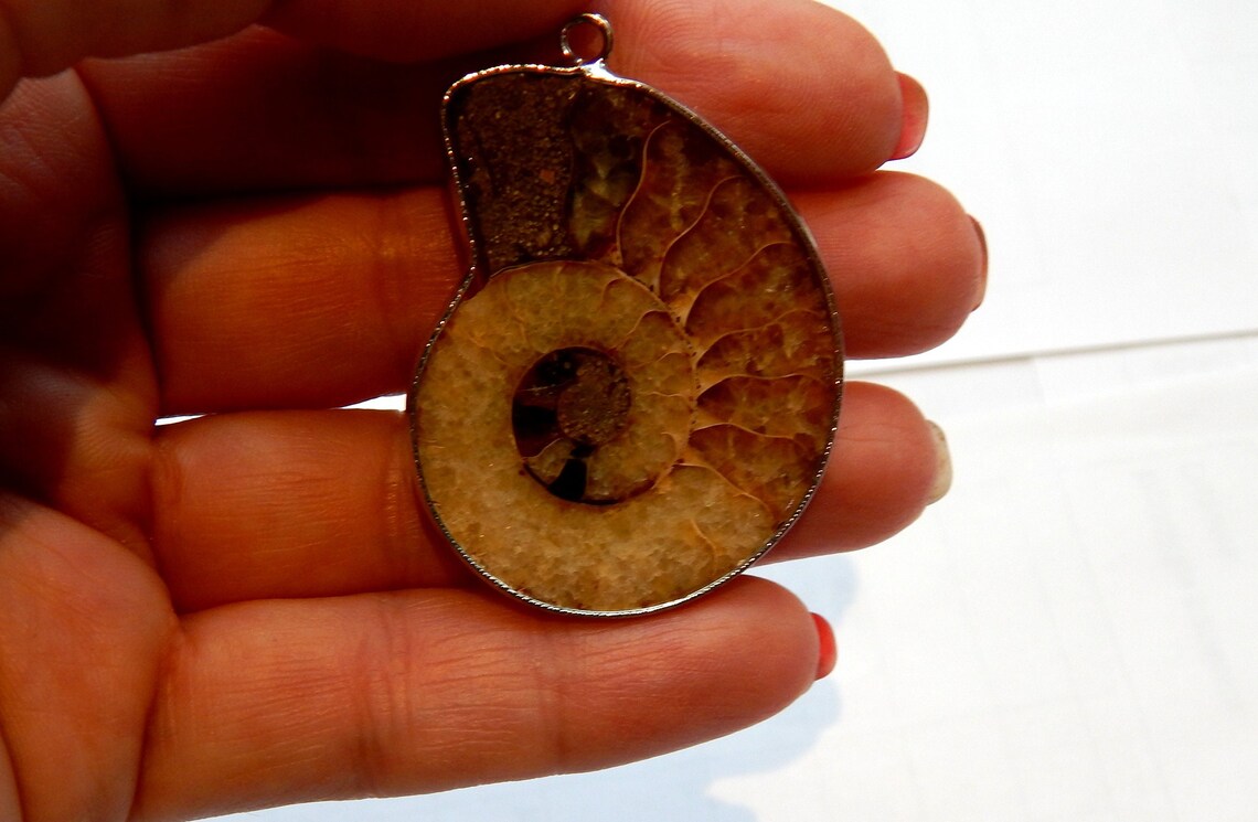 Ammonite Pendant 43x32mm Natural Choker Pendant Snail | Etsy
