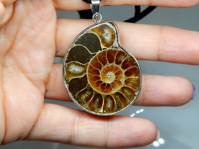 Ammonite Pendant Choker - PRE ORDER