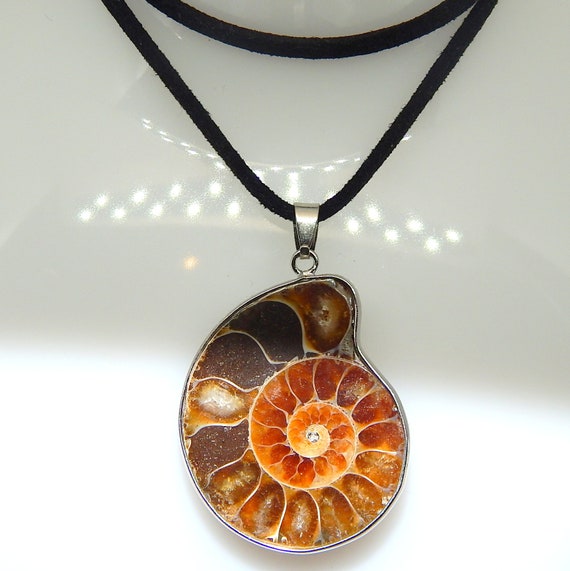 Ammonite Pendant Choker - PRE ORDER main image 0