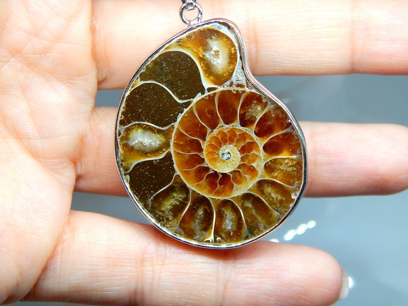 Ammonite Pendant Choker - PRE ORDER main image 1