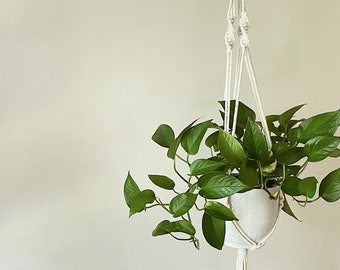 Long White Plant Hanger - Hanging Plant Holder - Air plant Hanger - Macrame Lanyard - Macrame Pant Holder - Macrame Tassels