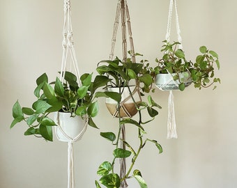 Short White + Long White + Brown - Hanging Plant Holder - Air plant Hanger - Macrame Lanyard - Macrame Pant Holder - Macrame Tassels