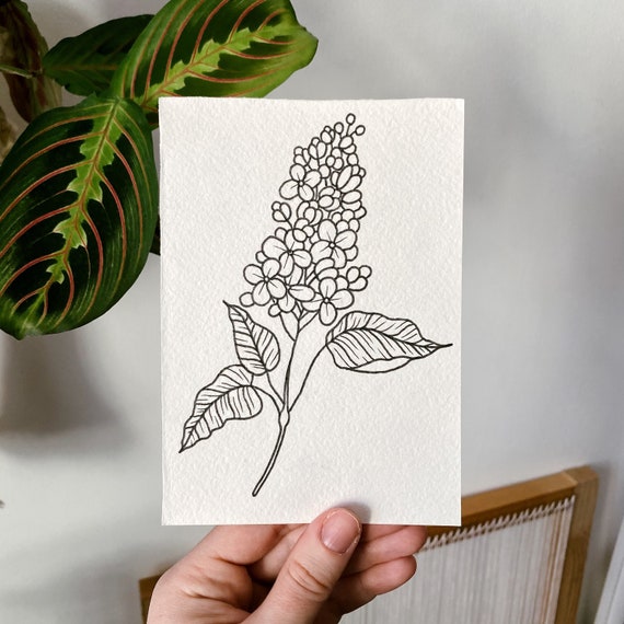 Lilac A6 Original Fine Liner Pen Drawing Etsy