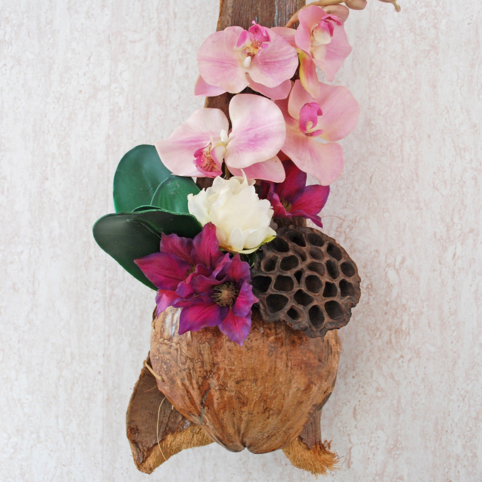 Hanging orchid pot Coconut shell decoration Farmhouse wall Etsy