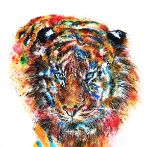 Der Sumatra Tiger