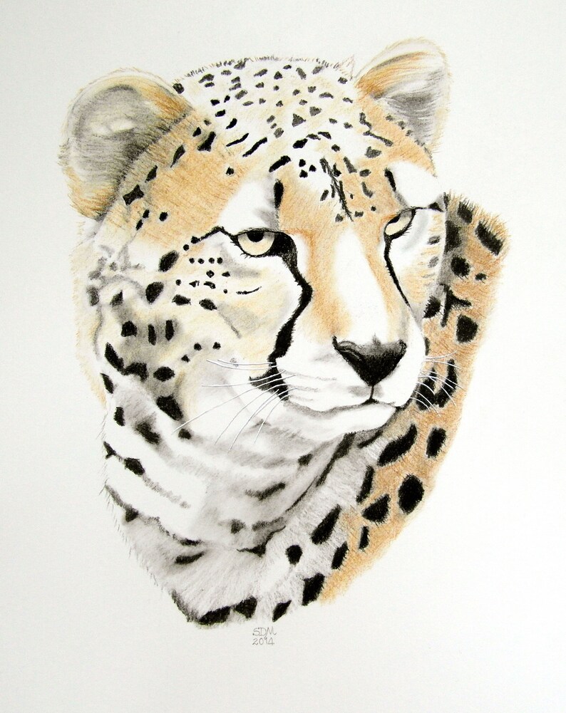 Cheetah 2, Original artwork, Wildlife, Big Cat, Animal Portrait image 1