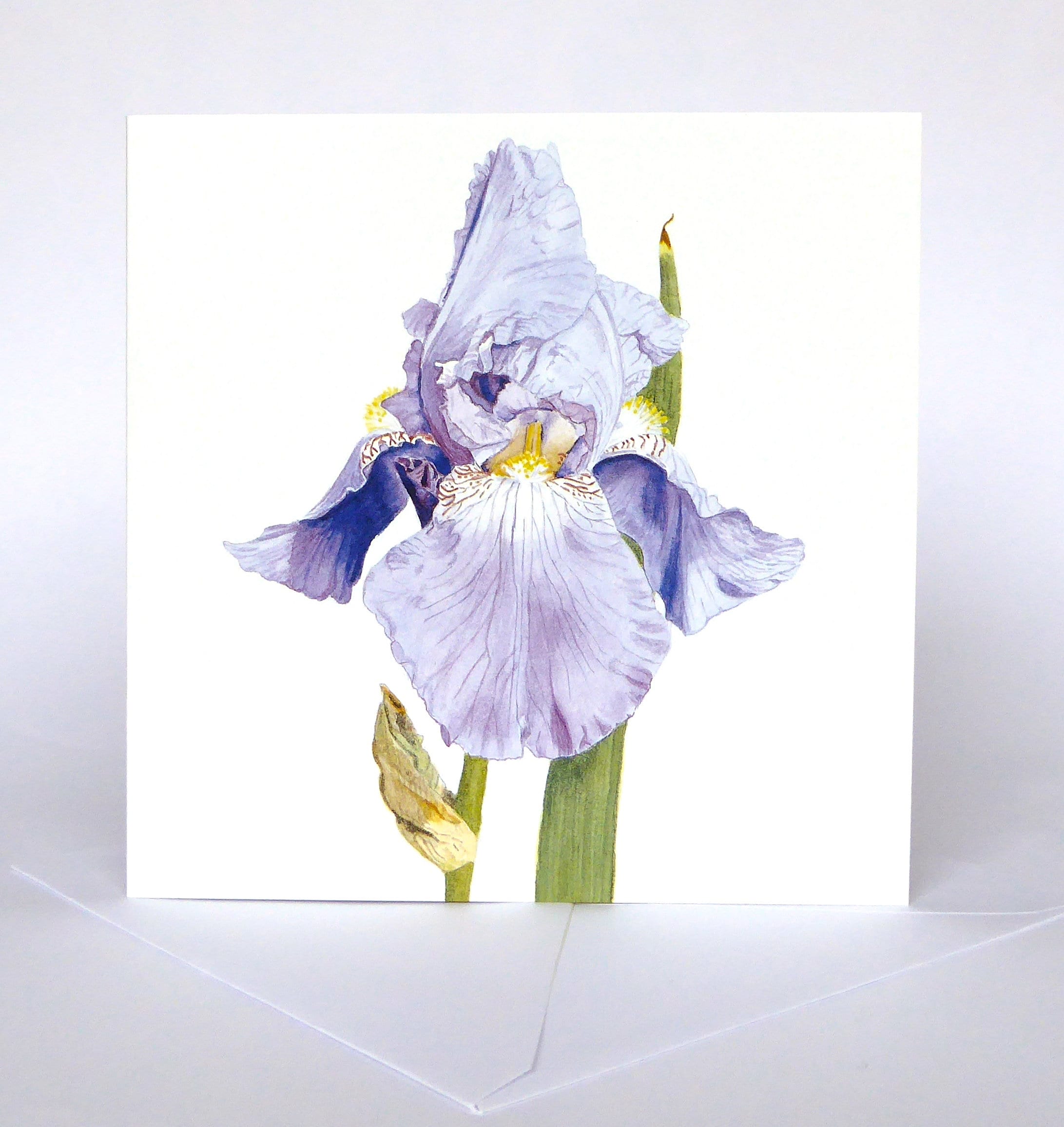 Iris Greetings Card Botanical Card Flower Card Card for All - Etsy