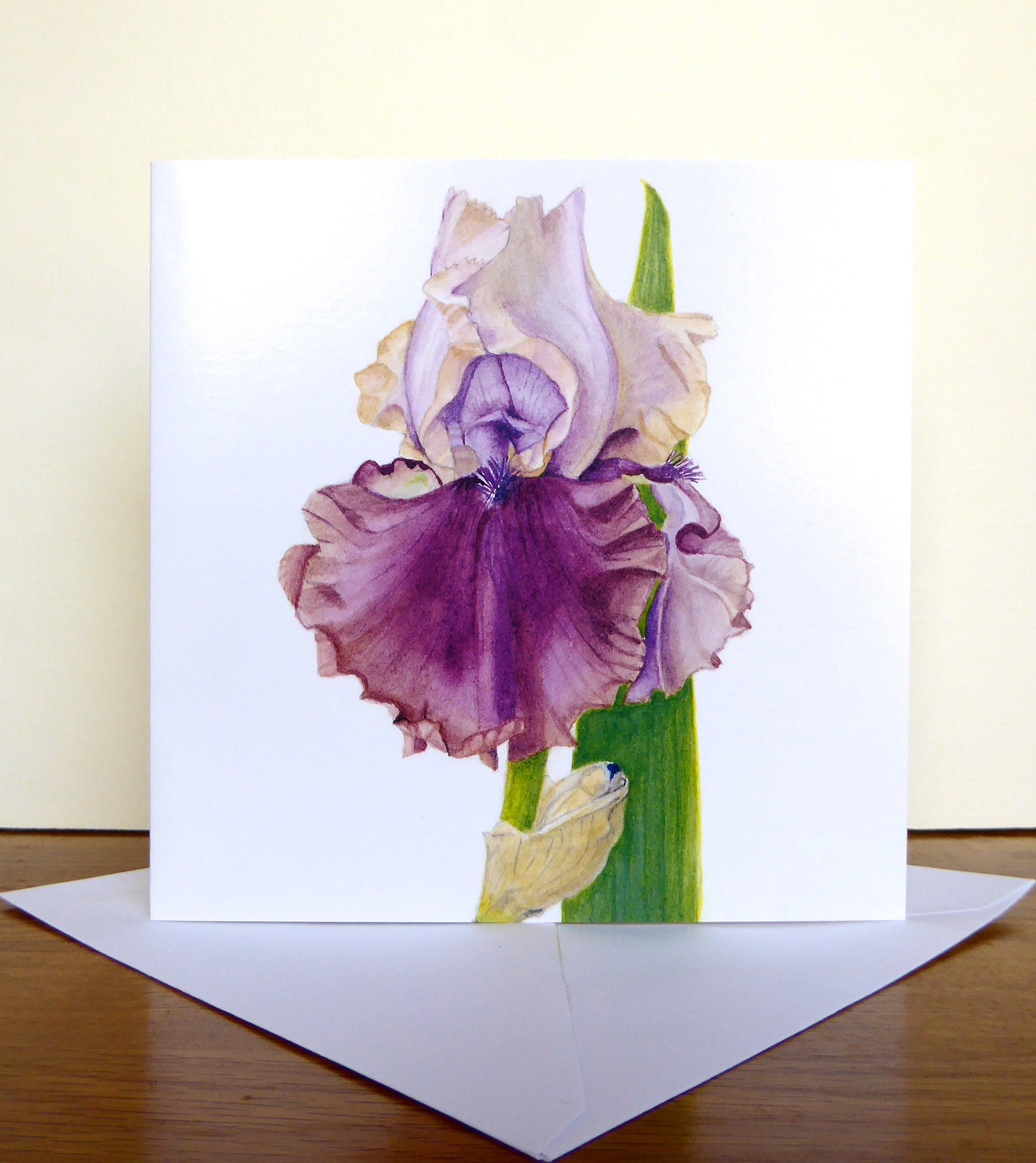 Iris Greetings Card Botanical Card Flower Card Card for all Etsy.de