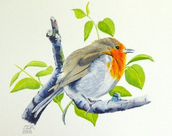 Robin, Bird Art, Watercolour, Original Artwork, Wildlife