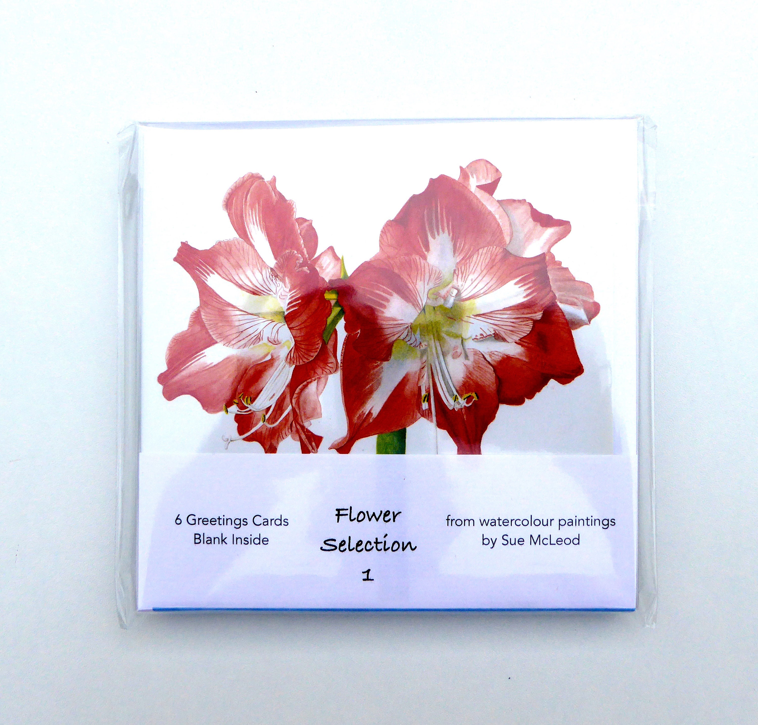 Greetings Card Pack of six different flowers blank inside Etsy