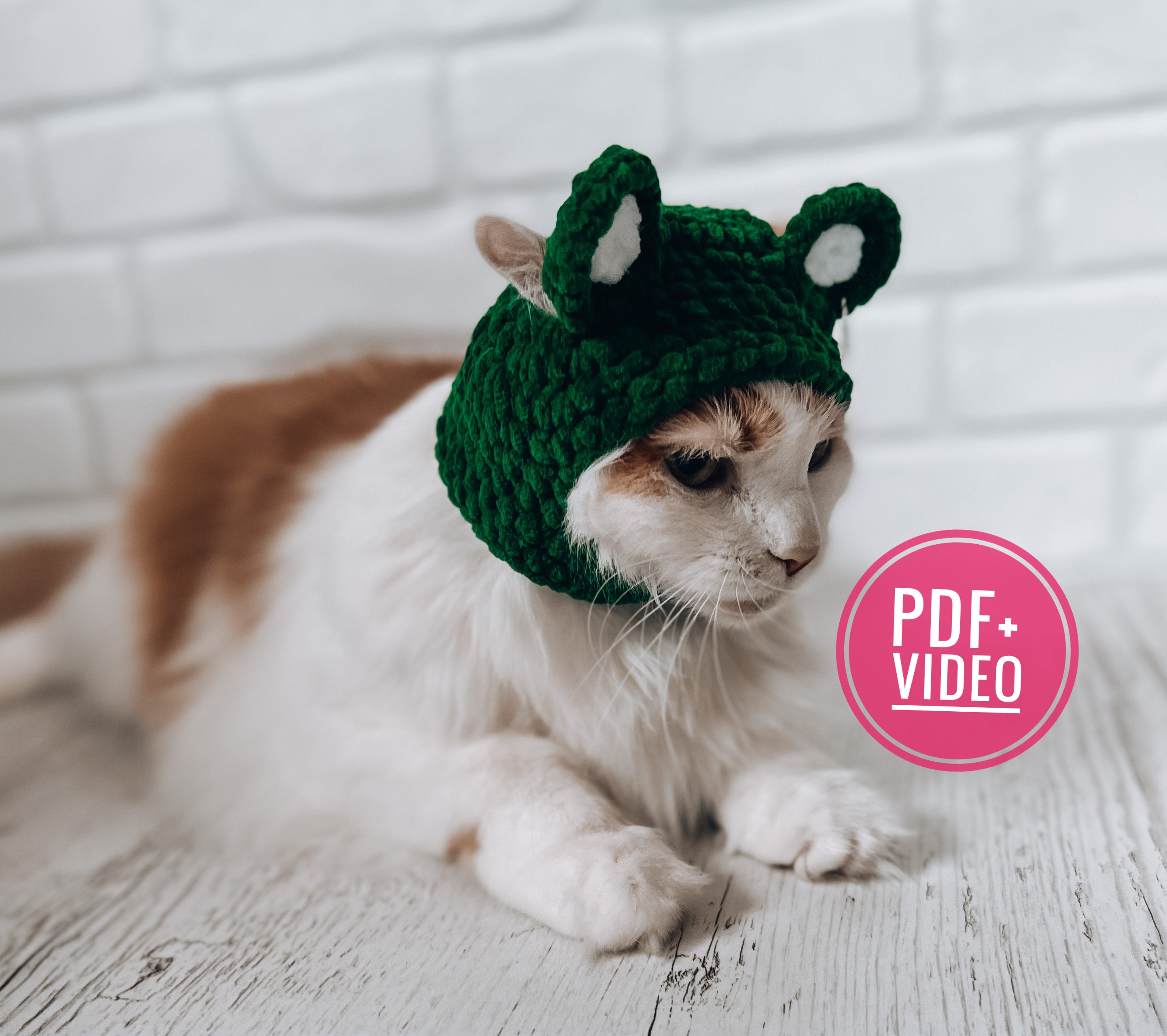 Balaclava With Ears for Cats and Small Dogs Crochet Pattern Etsy UK