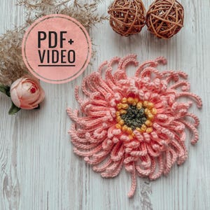 Può includere: Un fiore all'uncinetto rosa fatto a mano con un centro giallo e verde. Il fiore è il punto focale, con un cerchio rosa che dice "PDF + VIDEO" in testo nero. Gli elementi decorativi includono una rosa rosa e due sfere intrecciate marroni.