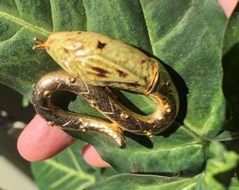 May include: A gold-toned snake brooch with a green and brown enamel body. The snake is curled up with its head raised and its tail tucked under its body.