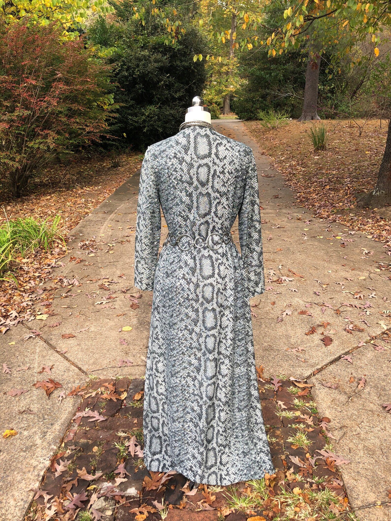 RARE 70's VICTORIA ROYAL Gown/snake Print Gown/lurex Etsy