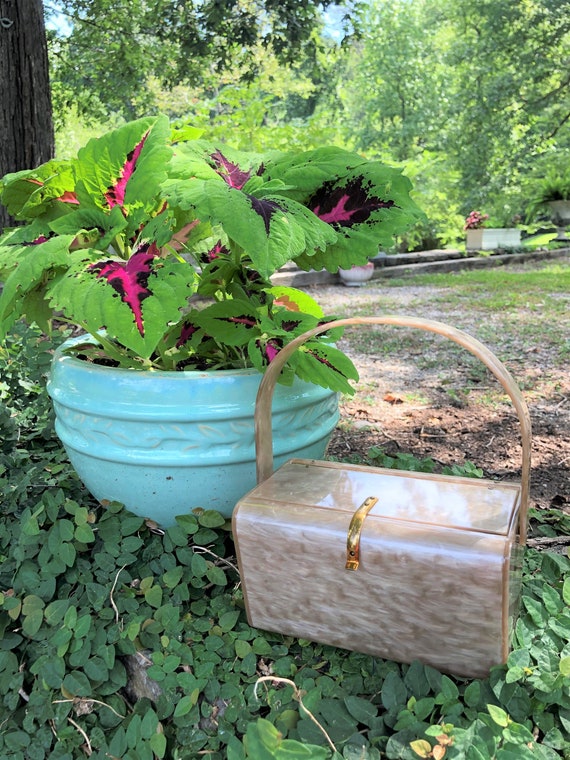 WILARDY Lucite Handbags/Lucite Handbags/Lucite Pur