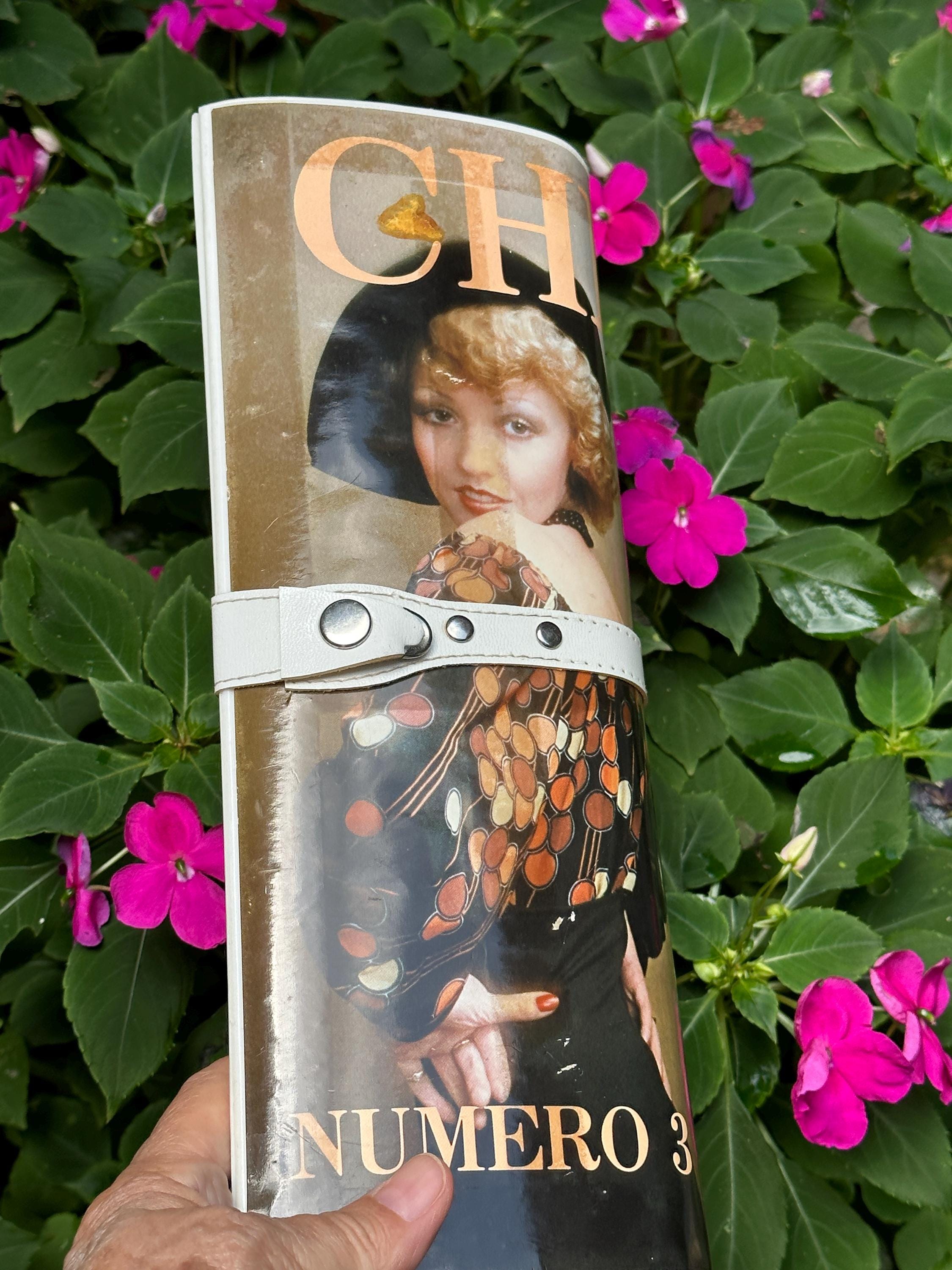 AMAZING 70's MAGAZINE Clutch/cherie Paris Clutch/vintage Clutch