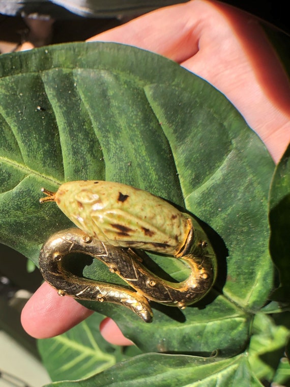 80's Snake Statement Brooch/Snake Brooch/Snake Jew