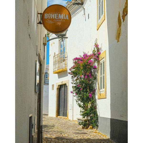 Flowers, Loule, Portugal.FREE SHIPPING- Canada-US! Art photography, Wall art, Decorative art, print, wall decor, travel,Portugal, Algarve.