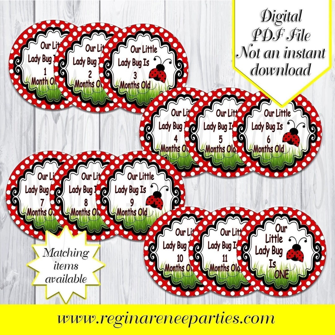 Baby Monthly Milestone Stickers Baby Girl Milestone Stickers Baby Boy ...