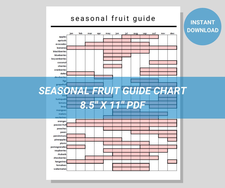 Seasonal Fruit Guide Kitchen Chart Modern Minimalist Printable PDF