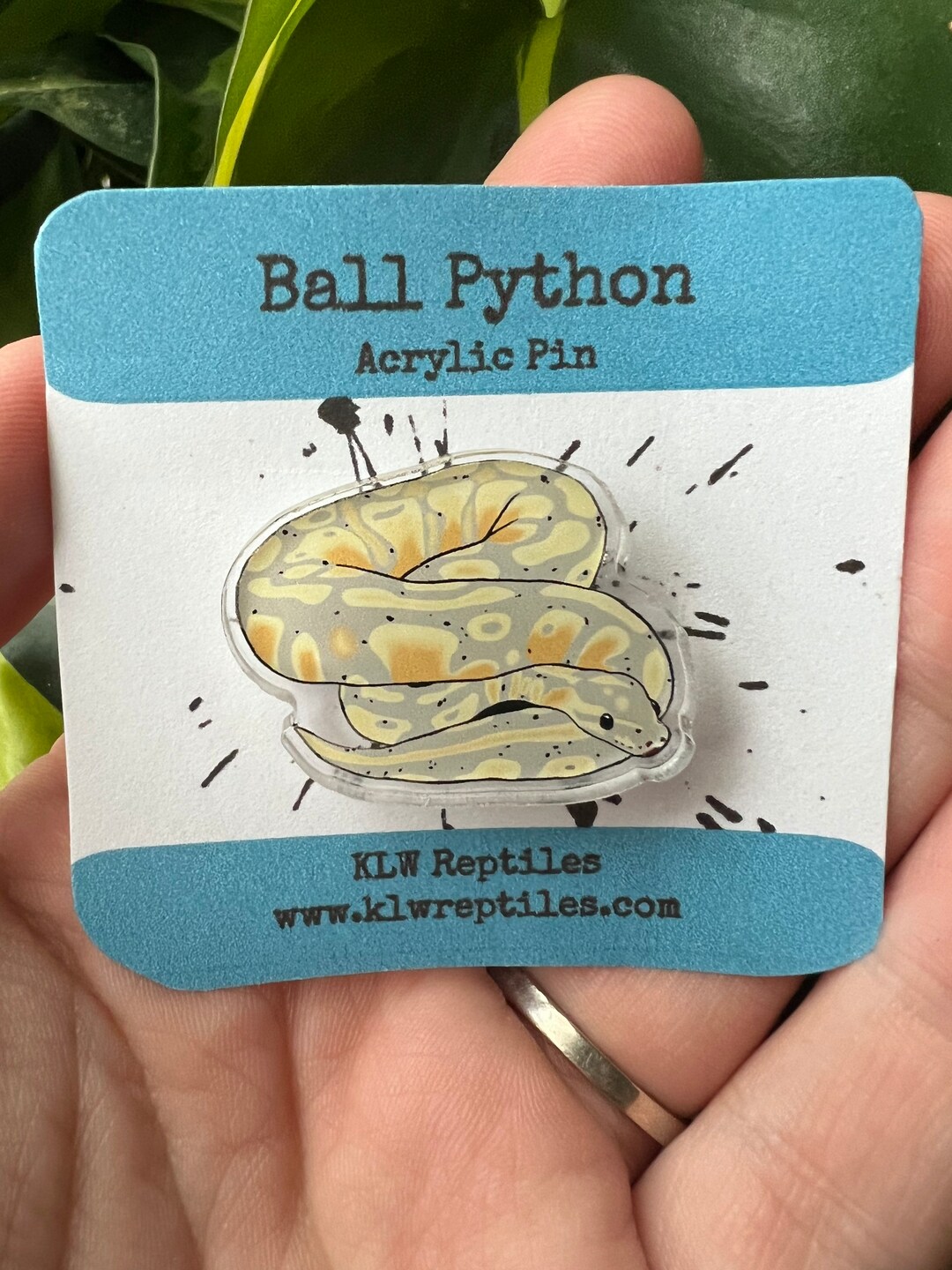 Ball Python Acrylic Pin || Snake Acrylic Pin - Etsy
