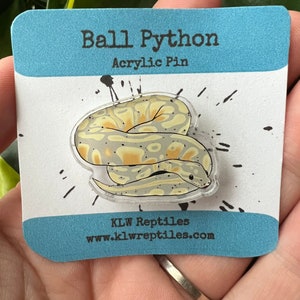 Ball Python Acrylic Pin || Snake Acrylic Pin