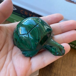 Tortuga tallada en malaquita verde, hermosa talla de cristal pulido, malaquita verde genuina natural, talla de cristal de tortuga